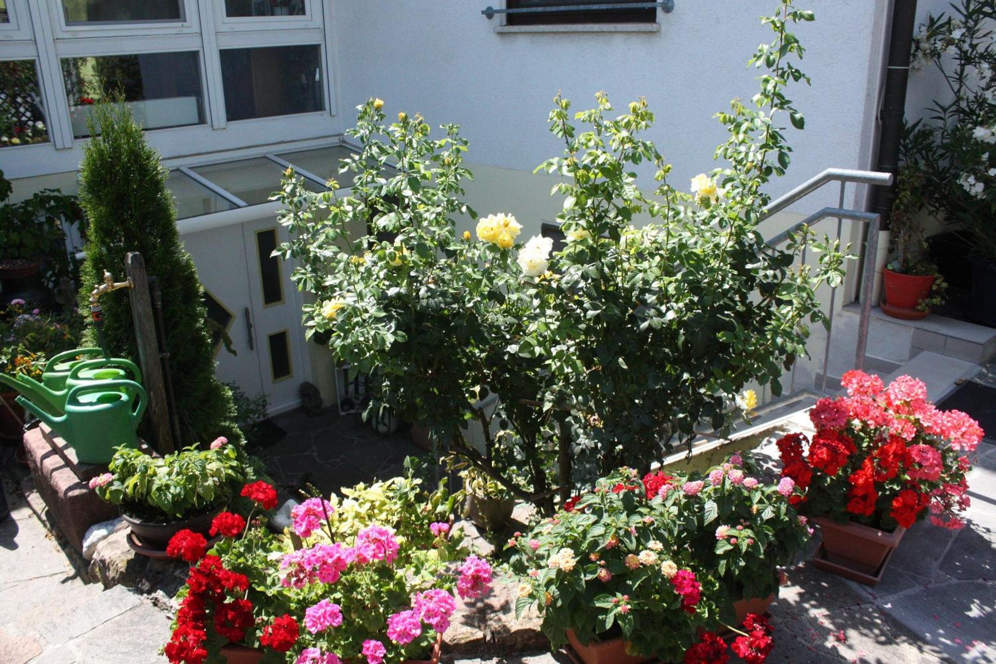 Ferienwohnung Burger Sasbach am Kaiserstuhl Extérieur photo