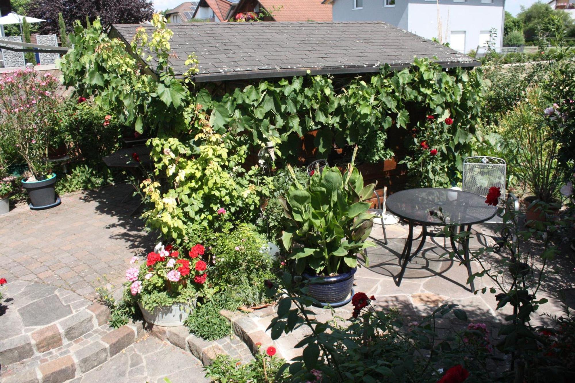 Ferienwohnung Burger Sasbach am Kaiserstuhl Extérieur photo