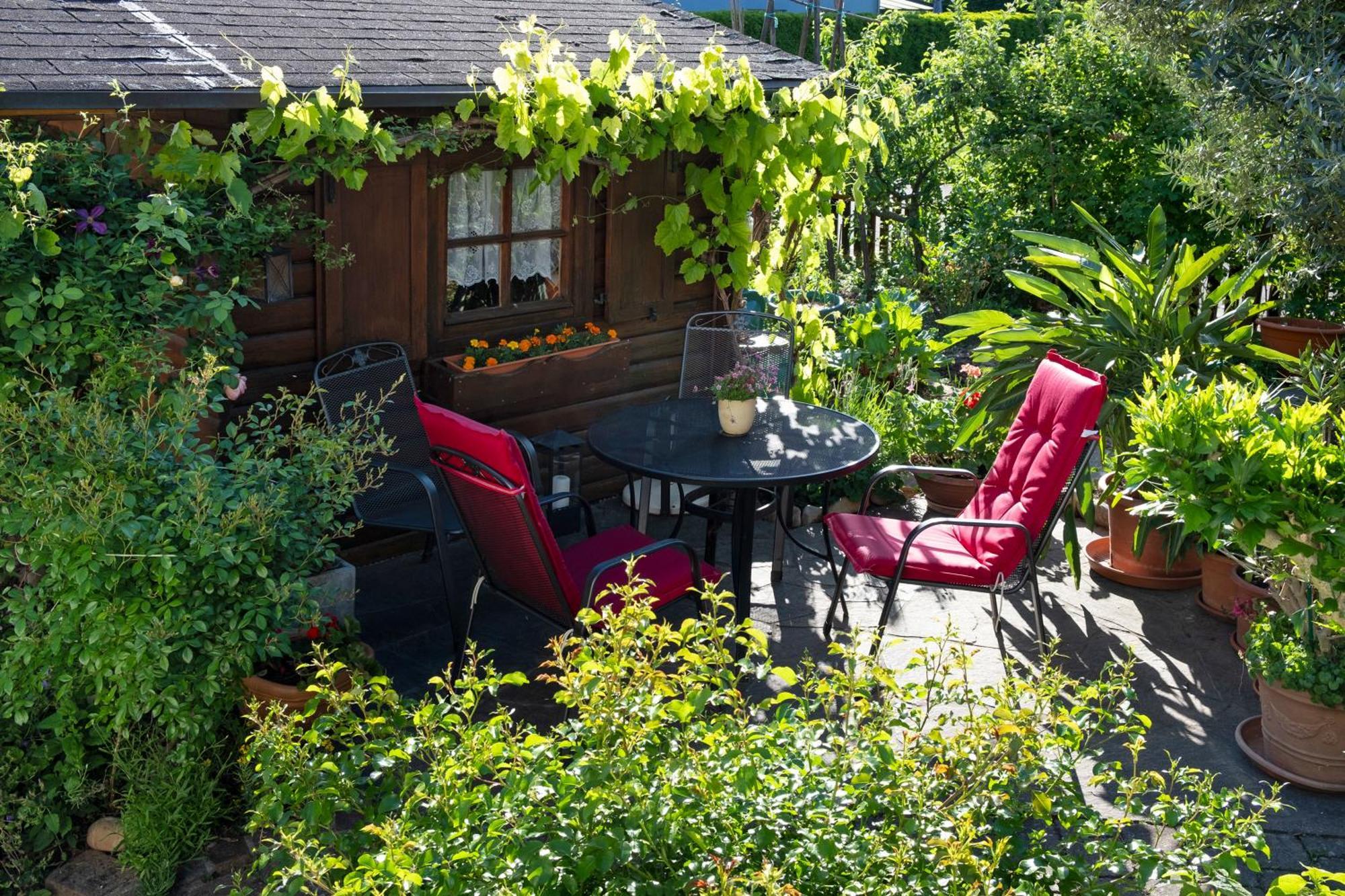 Ferienwohnung Burger Sasbach am Kaiserstuhl Extérieur photo